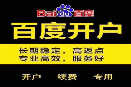 谷歌SEM广告投放的ROI优化：一家科技公司的成功经验